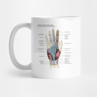 Hand Anatomy Pen and Ink Drawing Mug